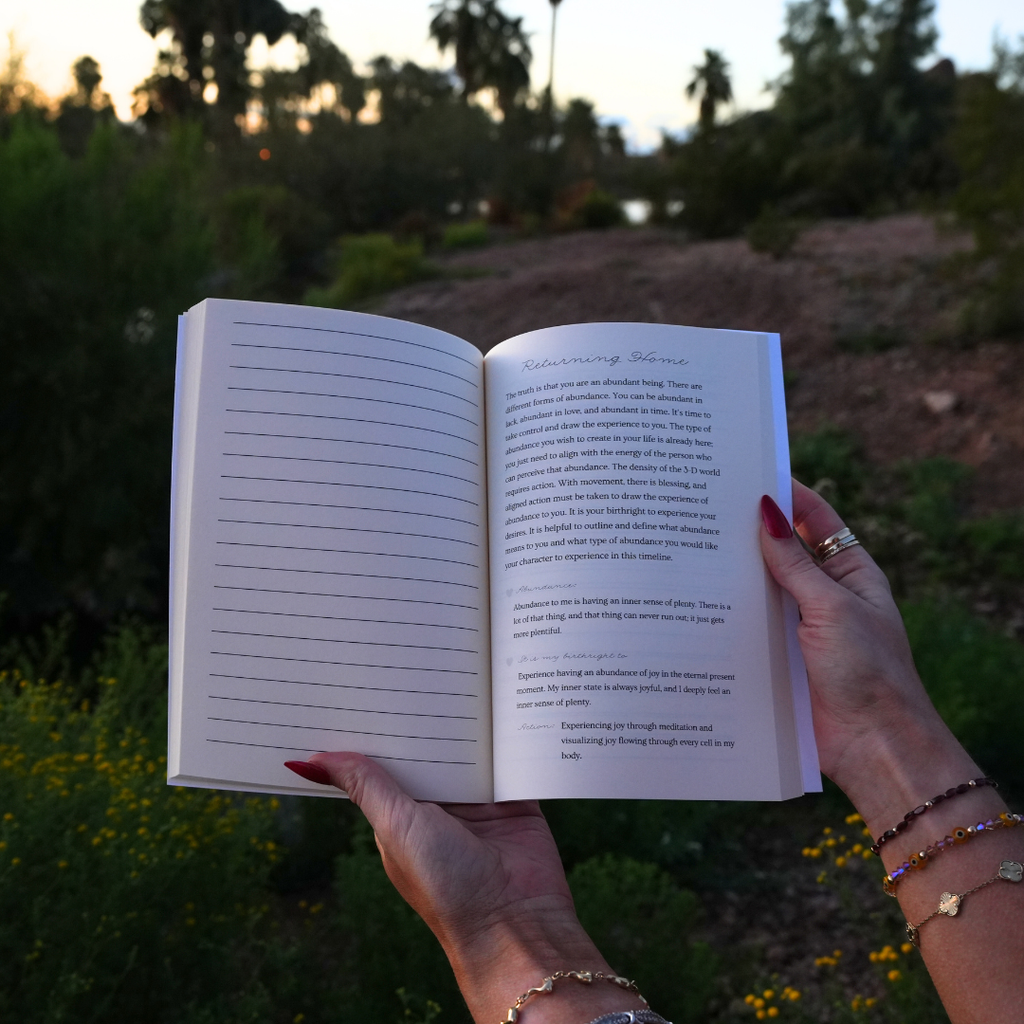 Manifestion Journal